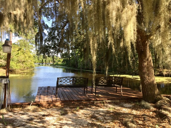 The front yard of my uncle's house in Slidell