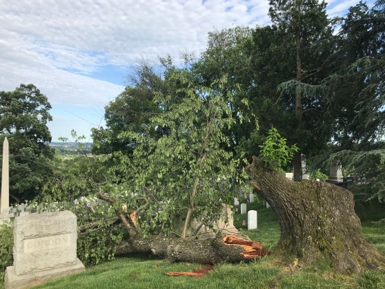Arlington National Cemetary (50).JPG