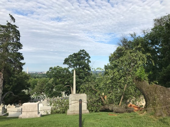 Arlington National Cemetary (51)