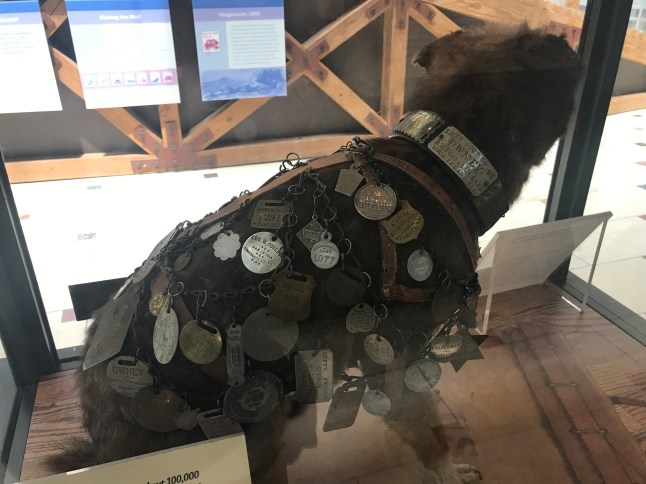 Washington D.C. Memorial Day Weekend (20)