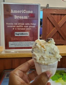 Ben & Jerry's AmeriCone Dream